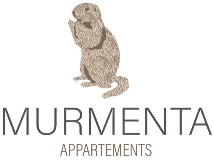 Murmenta Appartements Vandans Exterior photo